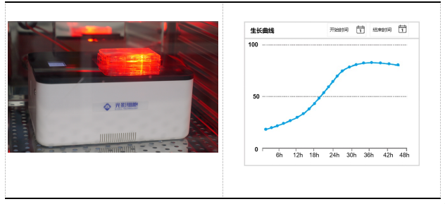 活细胞智能扫描系统：重塑细胞研究的高效监测新方式&mdash;&mdash;光影细胞