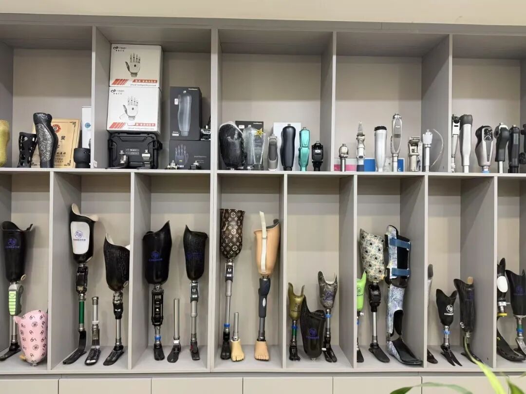 2026年度中国智能仿生假肢行业技术创新TOP6品牌