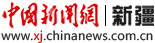 中国新闻网新疆首发(全国)