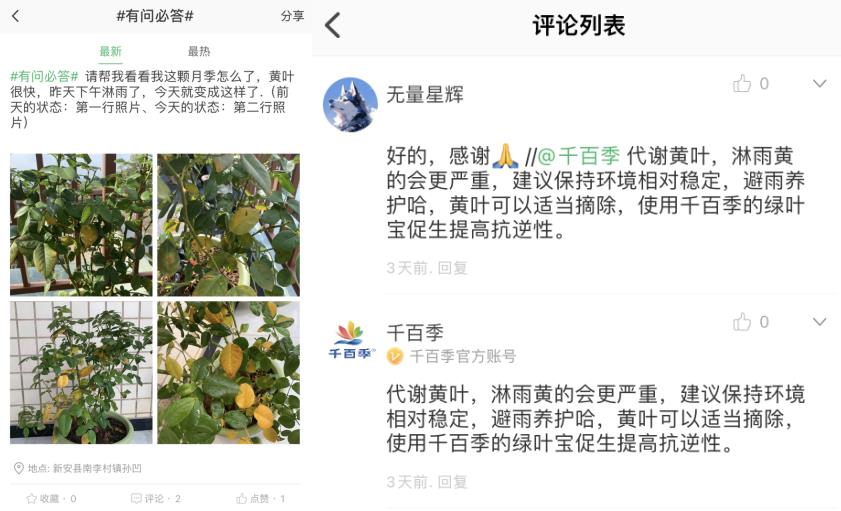 千百季官方入驻虹越app 深化合作助力园艺更美好