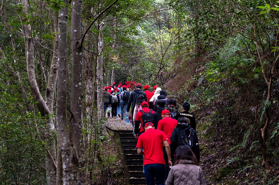 够野你就来——2023中国南酸枣之乡旅游文化节&齐云山登山节圆满落幕-4.jpg