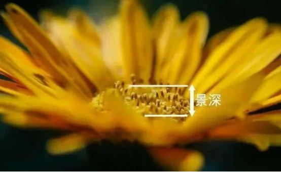 1725844222511010.png image.png